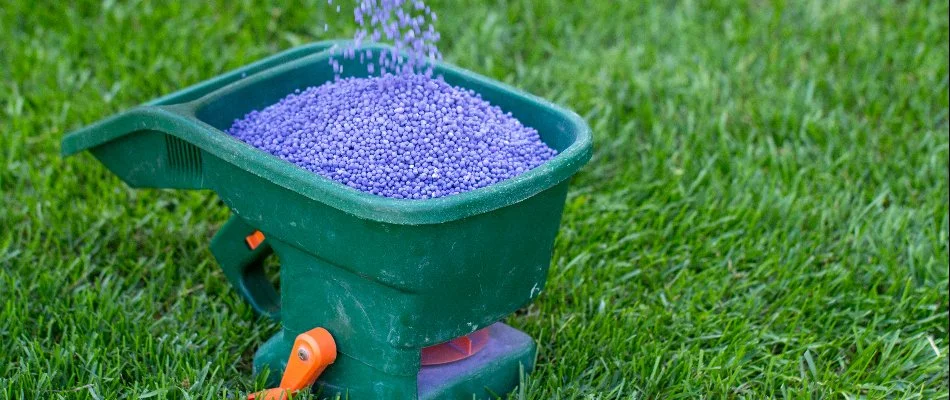 Blue, granular fertilizer in a green spreader on a lawn in Waukee, IA.
