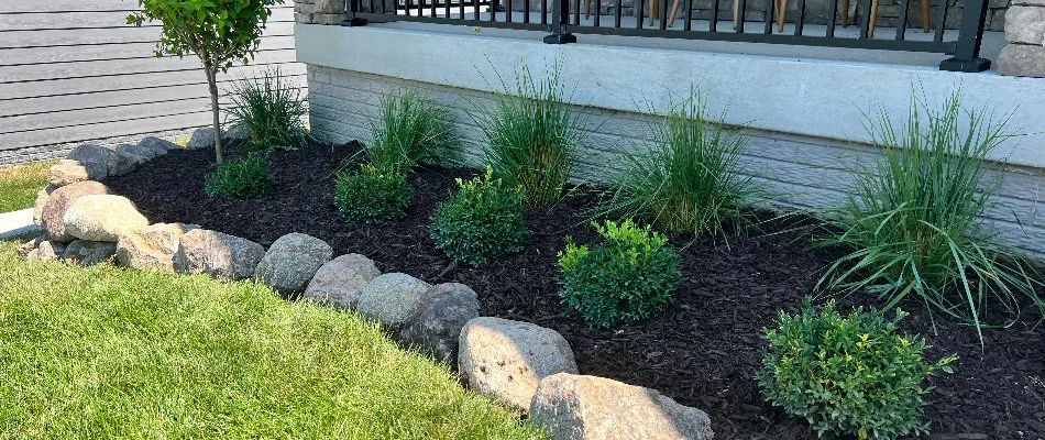 Landscape bed with plants on a property in Johnston, IA.